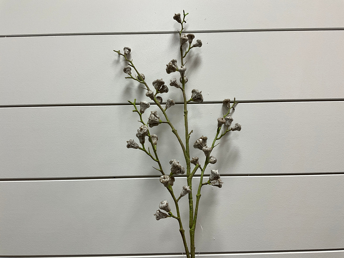 35" Powdered Tan Euc Pod