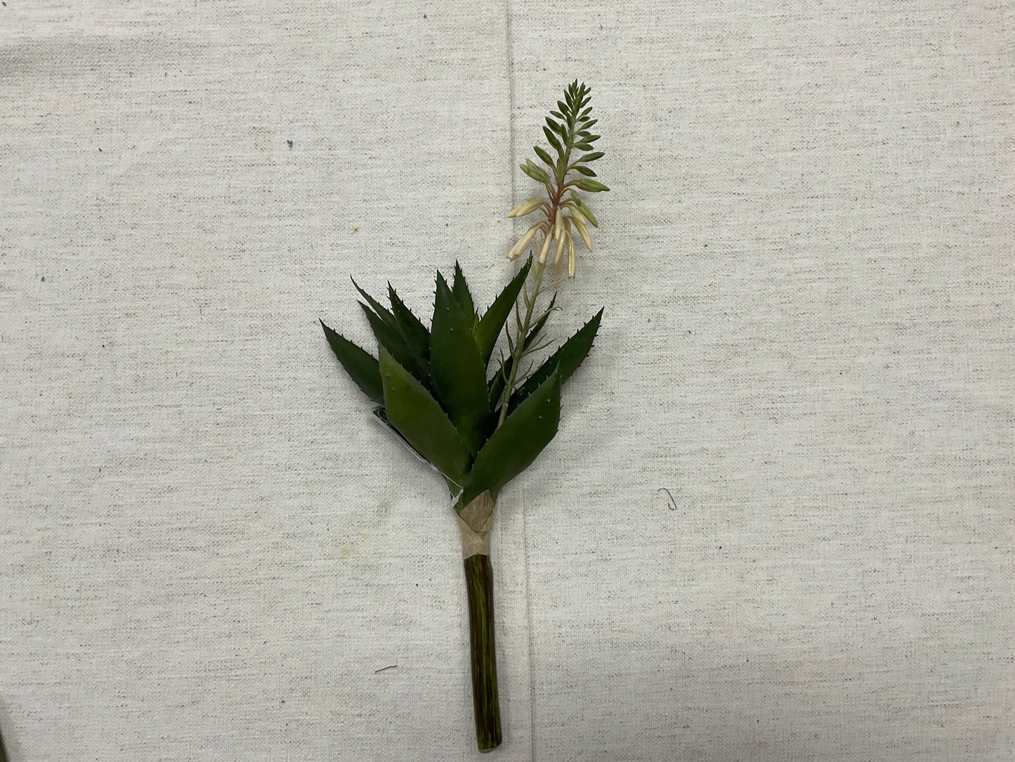 15" Blooming Agave Pick WH/GR