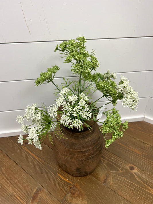 Cream Queen Anne's Lace Bundle 19.5