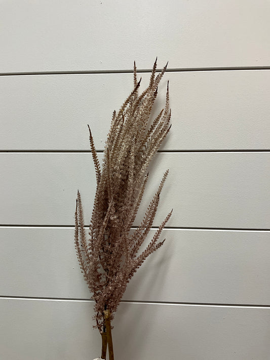 Multi Grass Asst