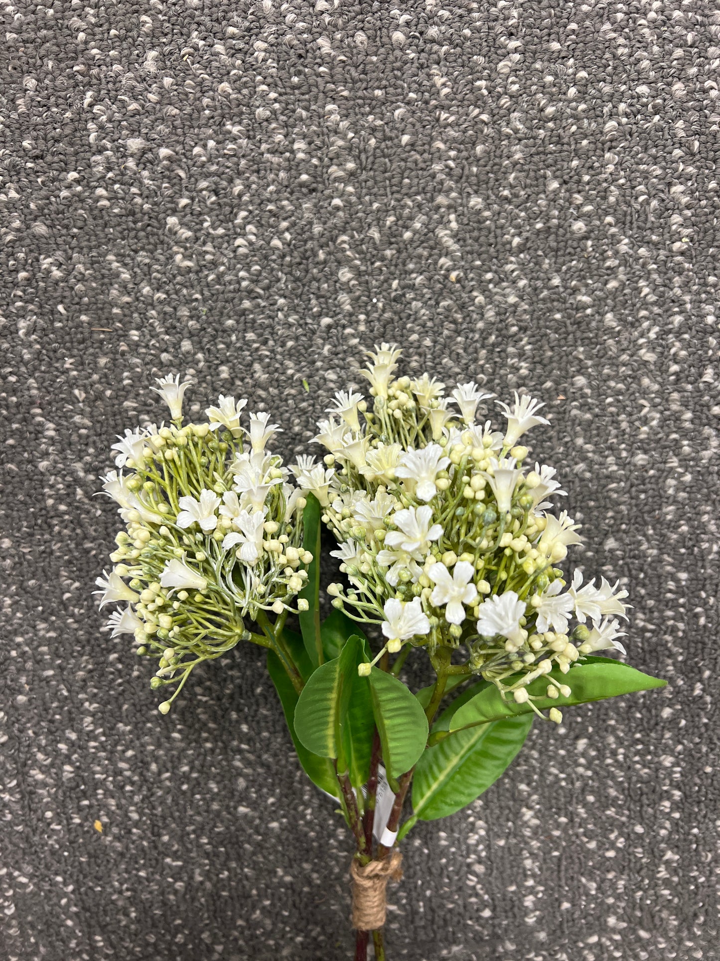 Mini Blossom & Seed Bundle