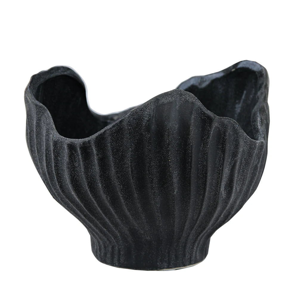 Black Coral Dish Garden