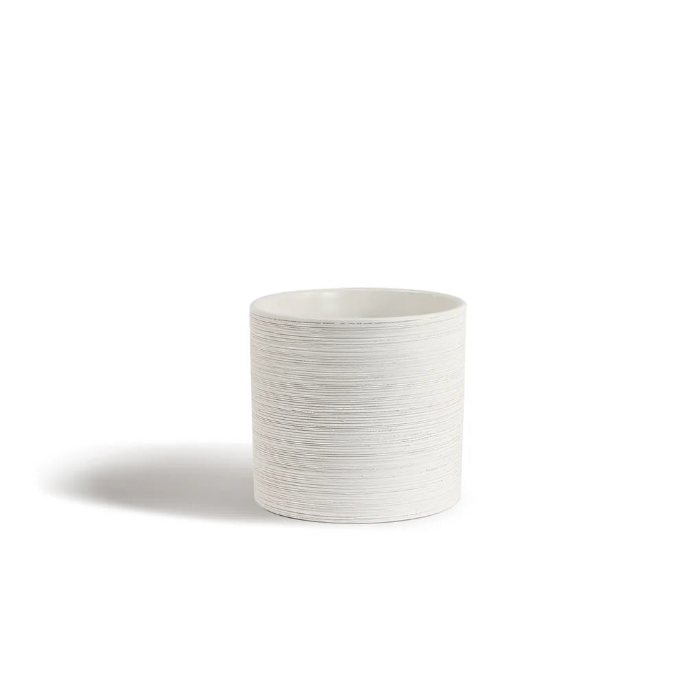 5.5x6 White Etched Orchid Pot