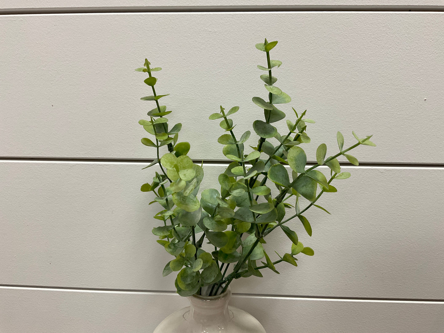 Frosted Eucalyptus Bush x5 13"