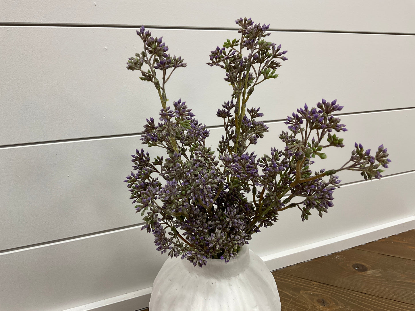 Purple/Green Seeds Bush