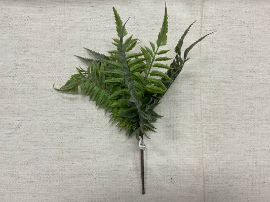 12" Fern Pick Assortment