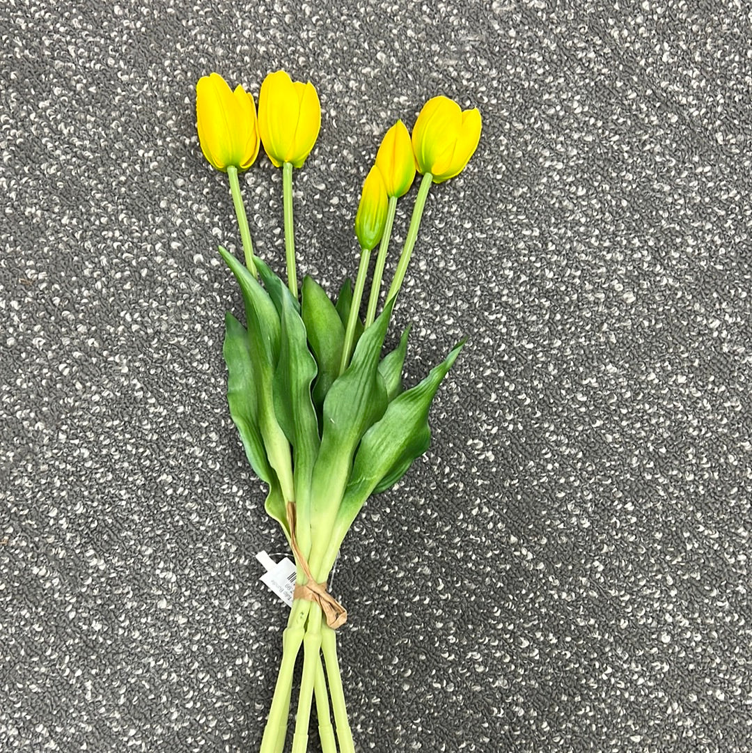 Yellow Tulip Bundle