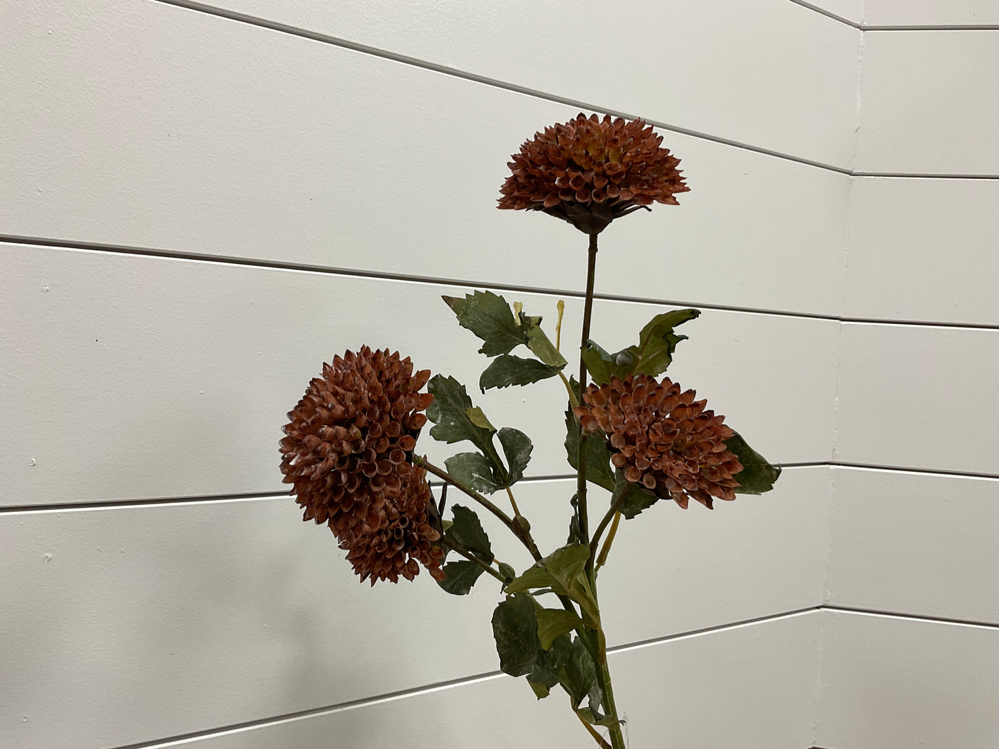 Taupe Dahlia Spray