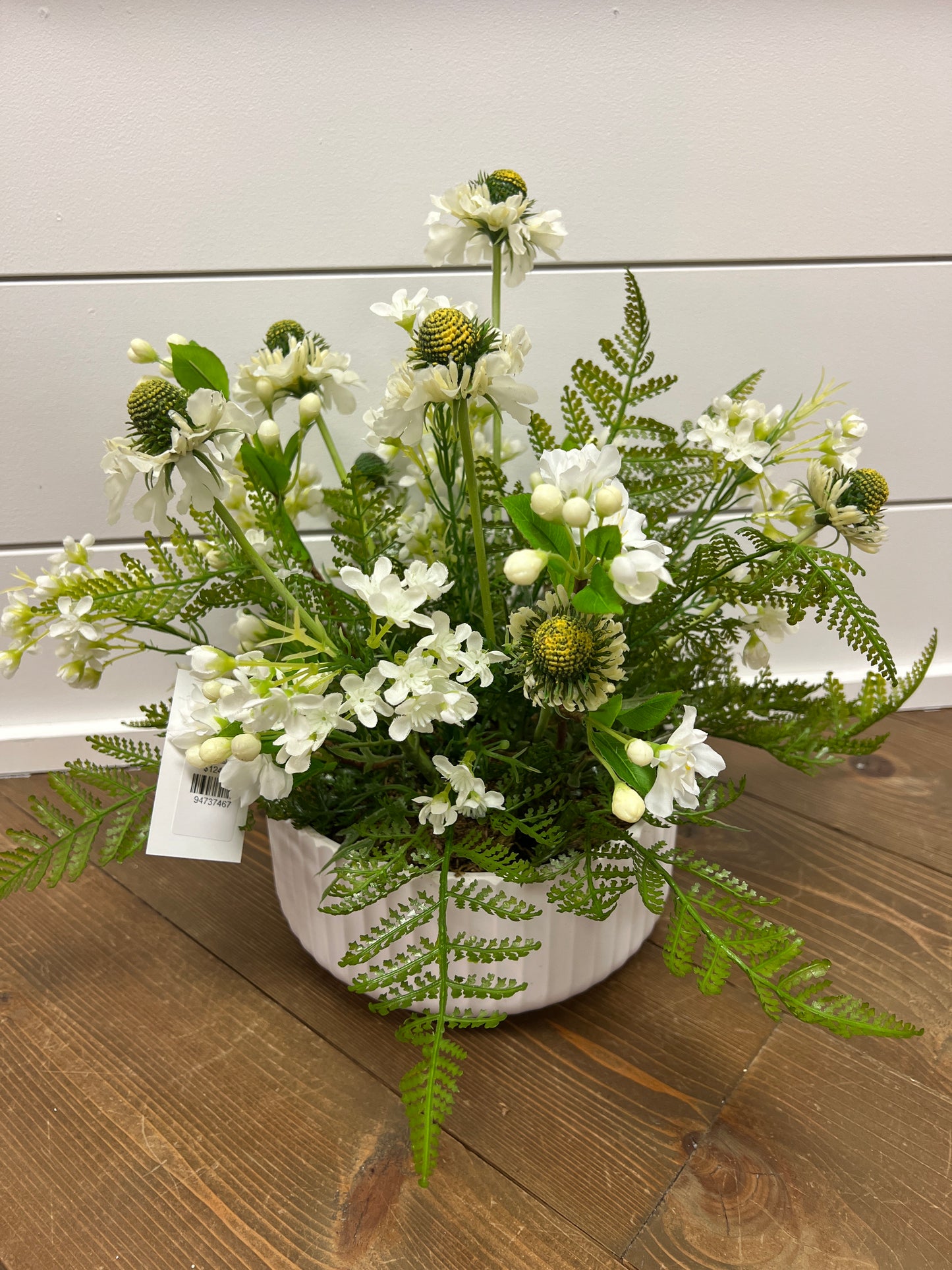 White Scabosia Arrangement