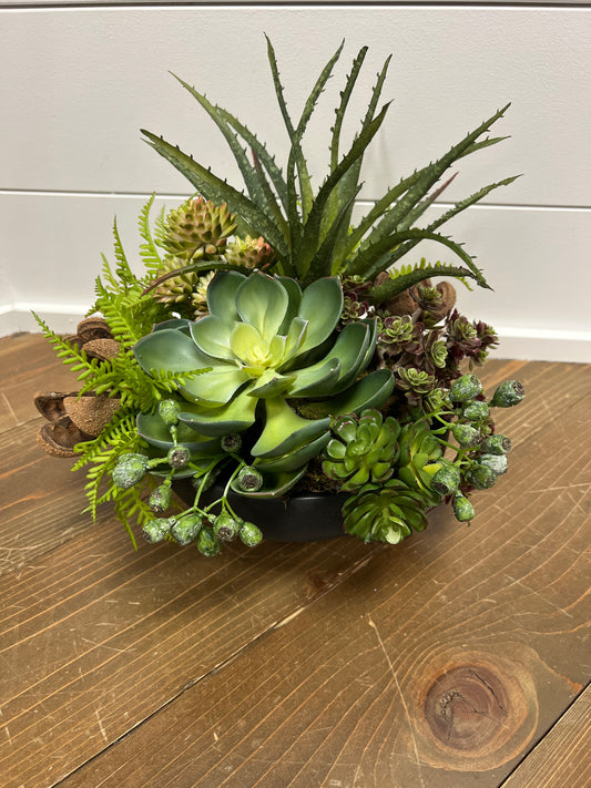 Succulent Arrangement in Black container