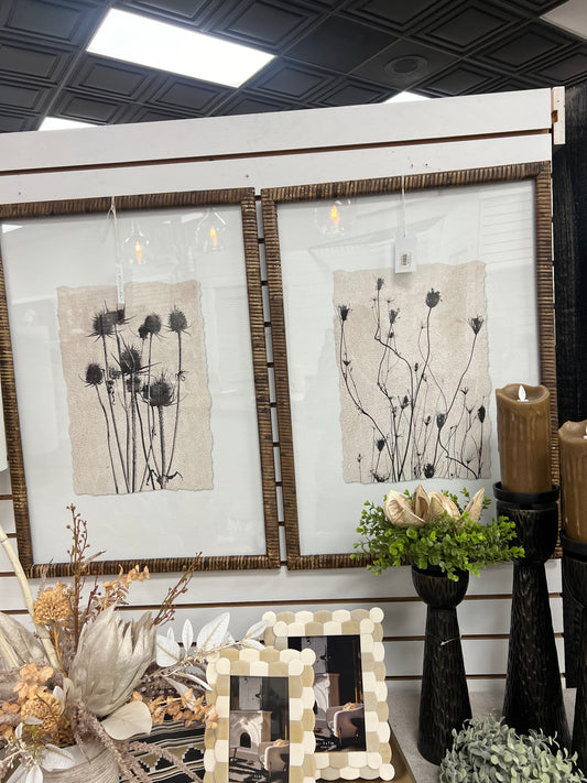 27.5 Black Botanical Prints with Rattan Wrapped Frame Asst