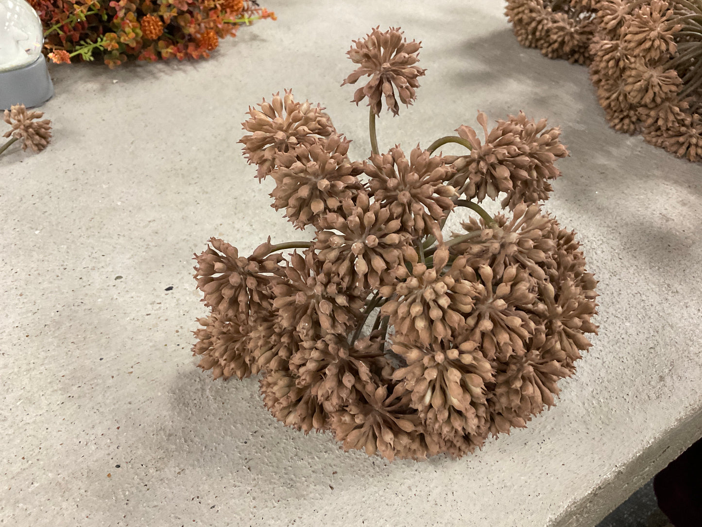 Brown 11" Garden Anglica Pick