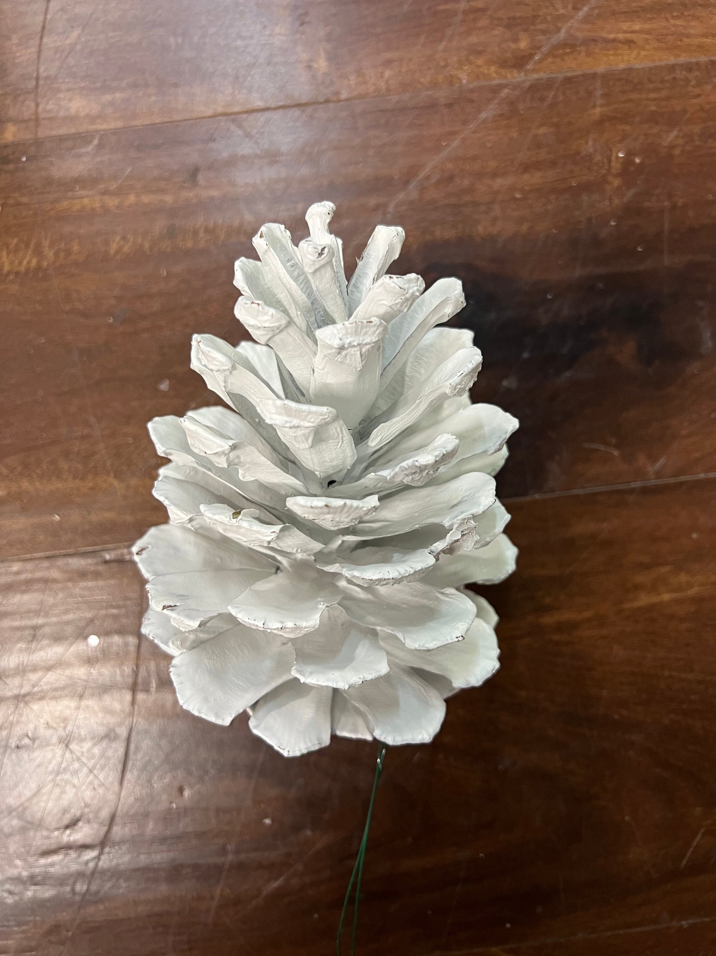 Long Leaf Pine Cones, White, Wired