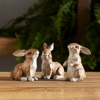 Asst Rabbit