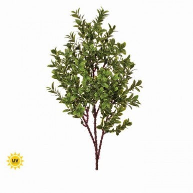 AMERICAN BOXWOOD SPRAY 16" UV TREAT