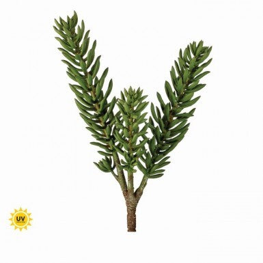 UV BRUSH SUCCULENT PLANT X2 20"