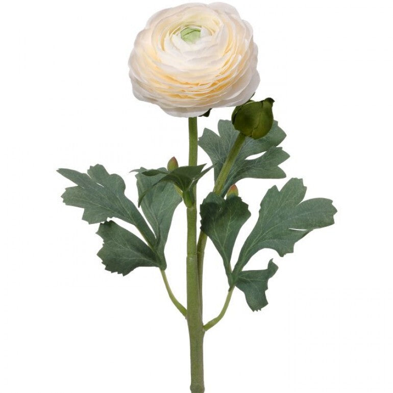 Ranunculus & Bud Stem 19"