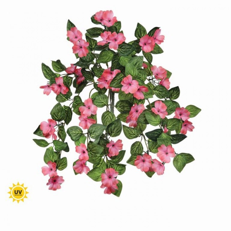 UV Hanging Impatiens Plant