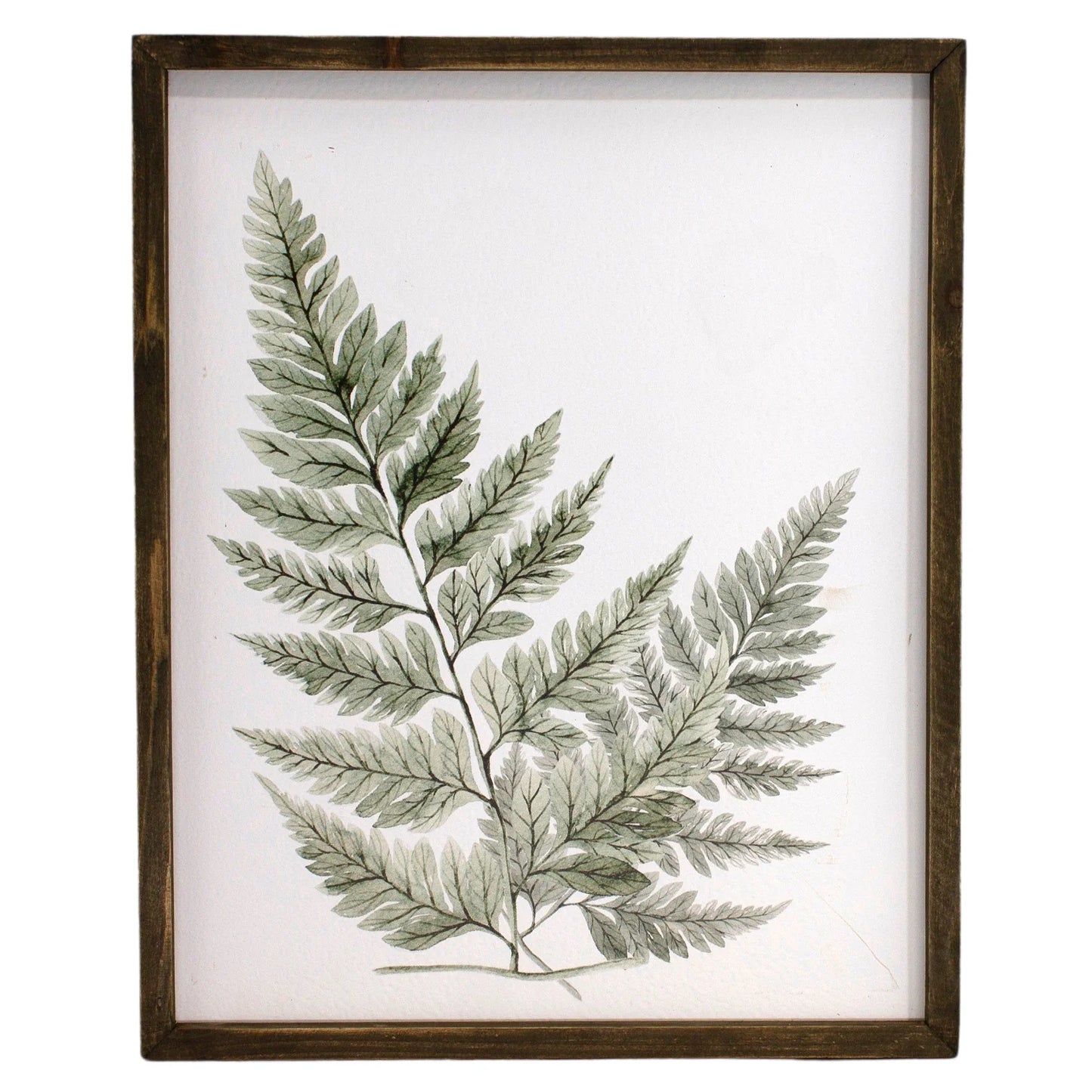 Sage Fern Sign