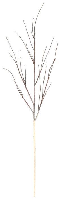 BIRCH STICK, 54"