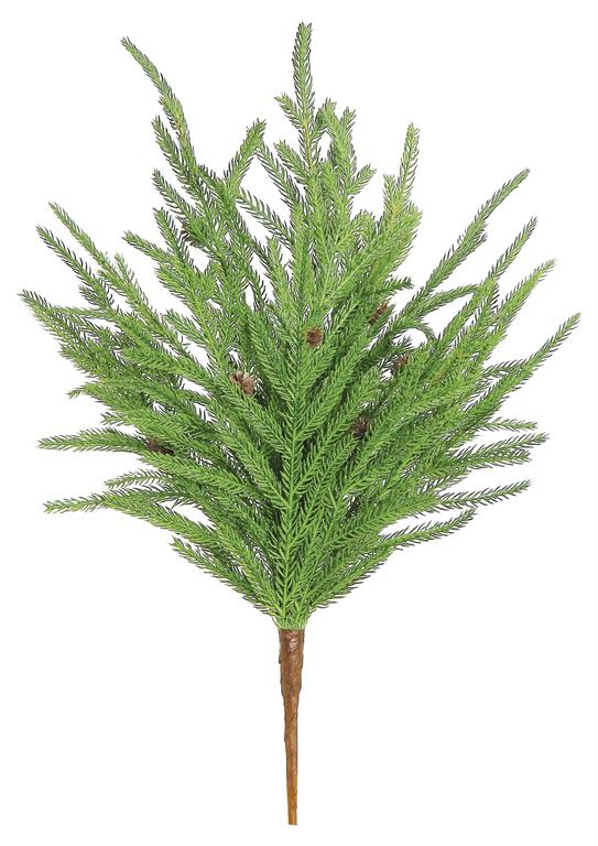 NORFOLK PINE & MINI CONE BUSH, 20"