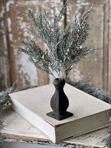 Frosted Twilight Cedar Bush