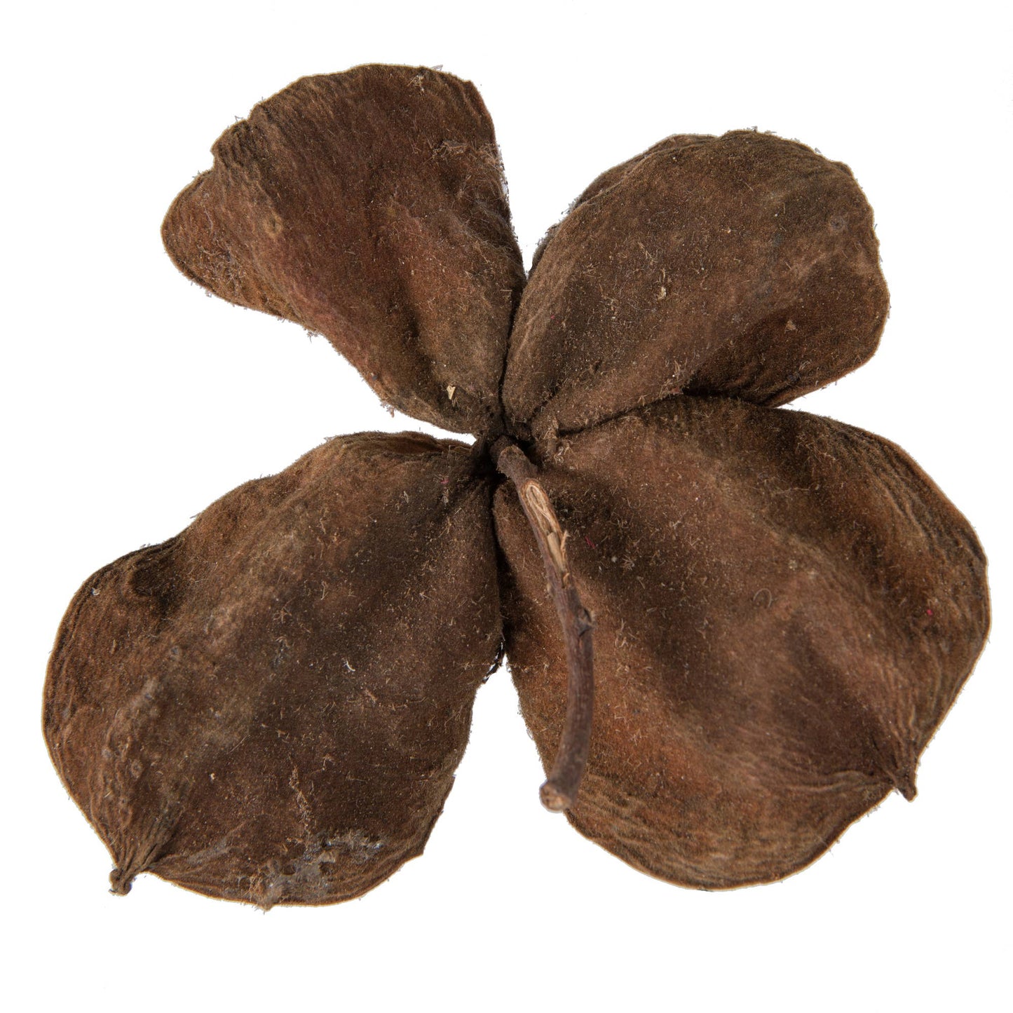 Vickerman 3.2"-4" Land Lotus