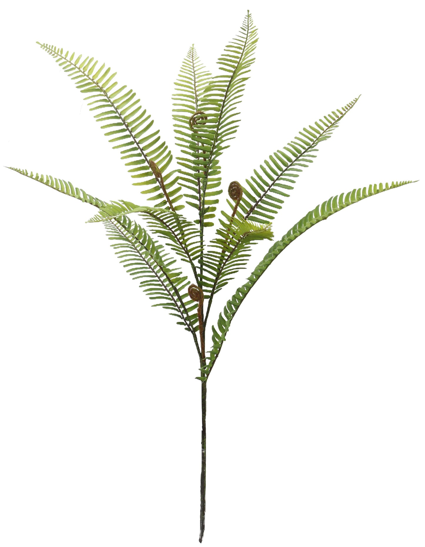 Fern Spray, #FL7287-G