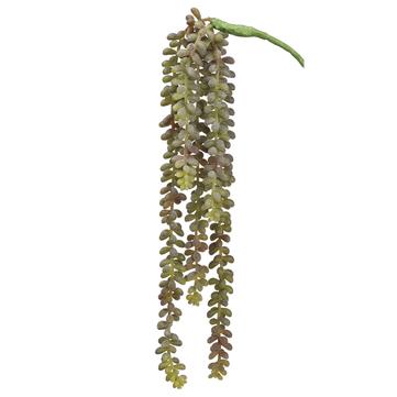 19" Donkey Tail Vine Green