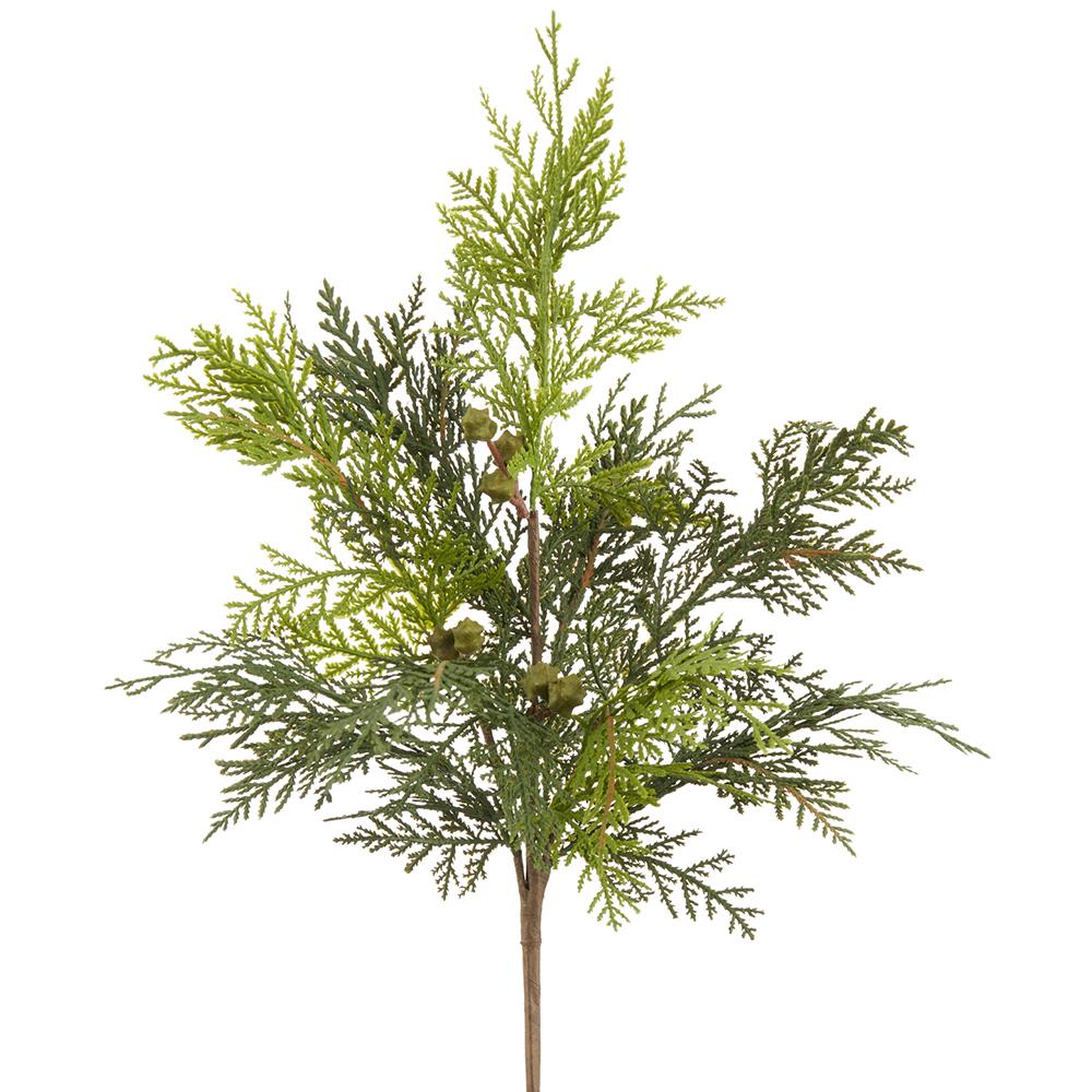 16" Cedar Bush GR
