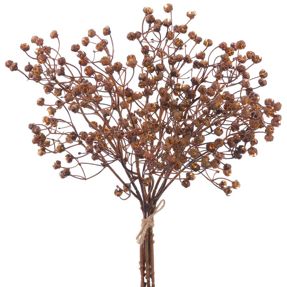 Brown 13.5 Gysophila Bundle x5