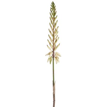 28" Agave Flower Spray White Green
