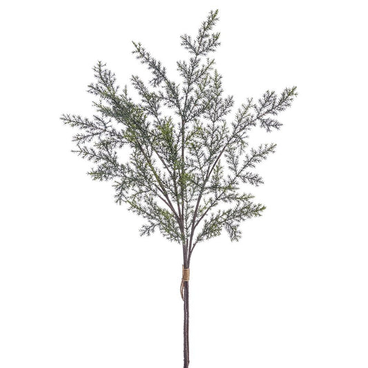 40" Pine Bundle x3 GR