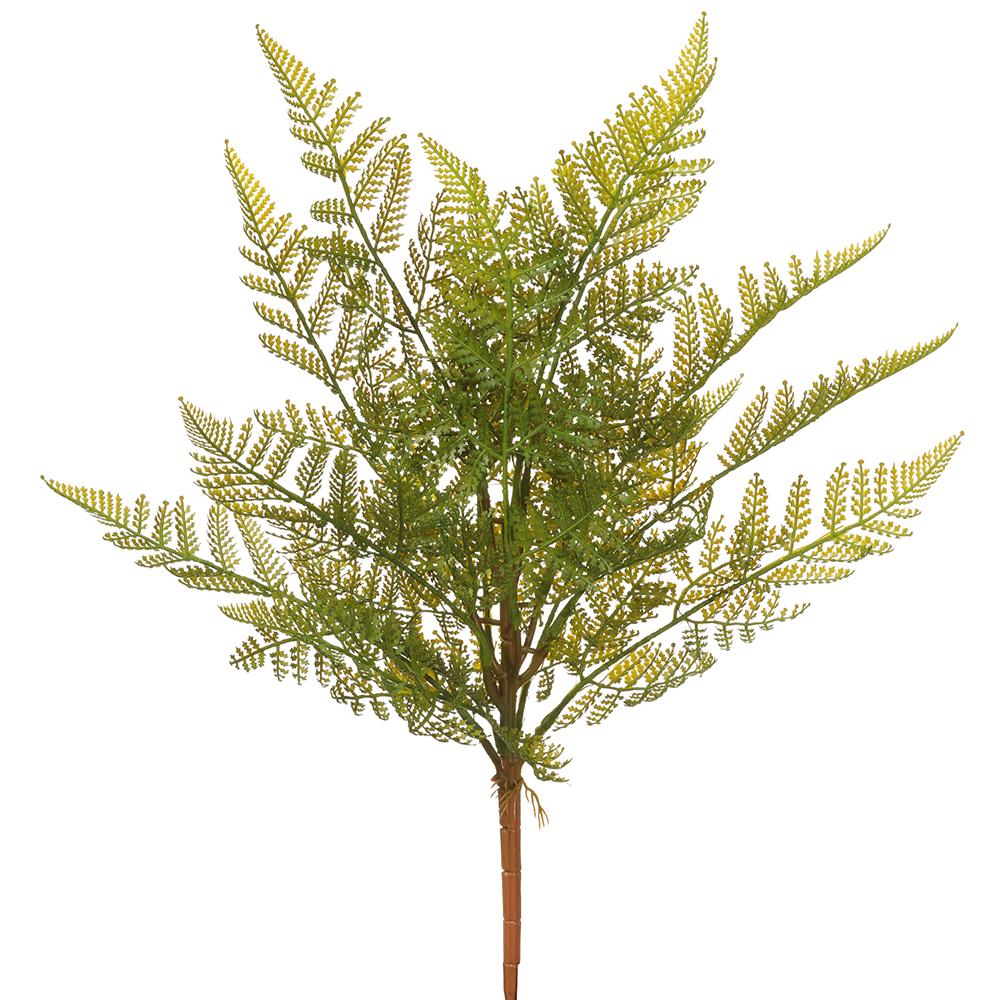 17" Fern Bush Green