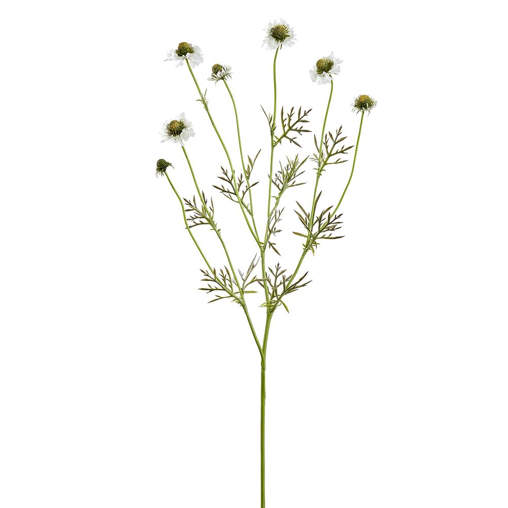 35" Scabiosa Spray White
