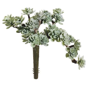 5" Sedum Pick 30L Gr/Du