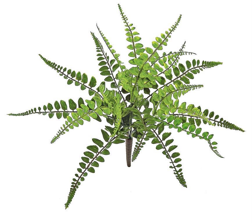 Wing Fern Bush, #FL6006-G