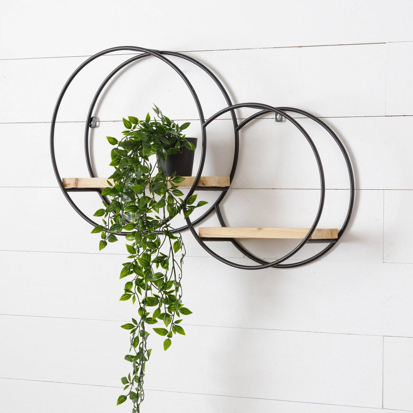 Wall Shelf - Two Circles (PC)