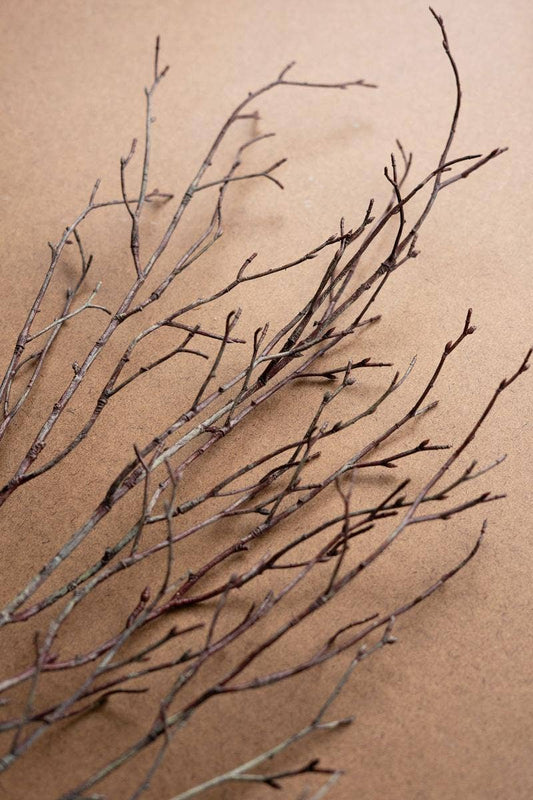 ARTIFICIAL BIRCH BRANCH STEM