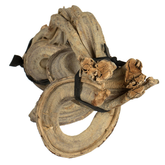 Vickerman 18-22" Bleached Twisted Vine Bundle