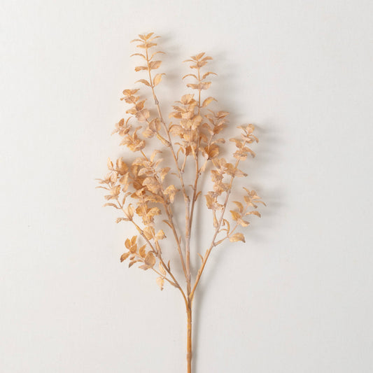 TAN FITTONIA SPRING SPRAY