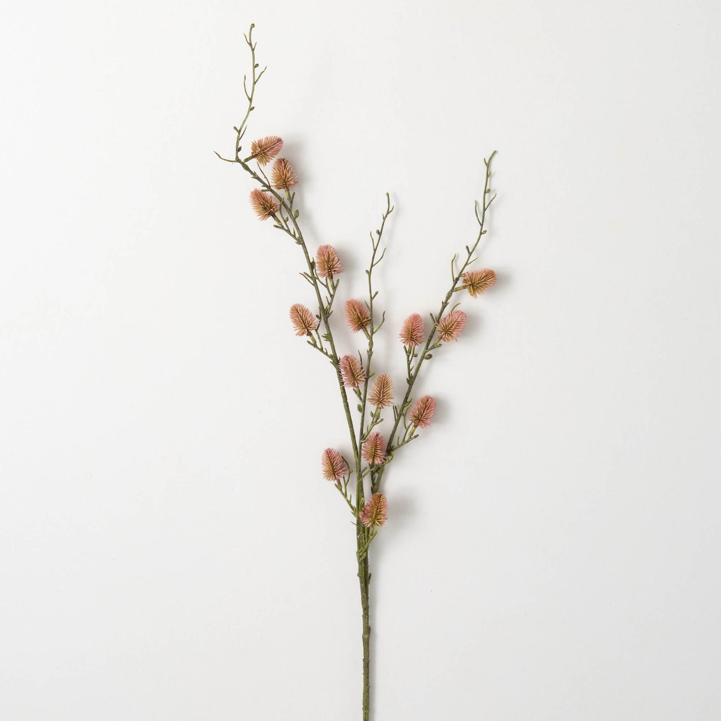 PINK AMERICAN WILLOW BRANCH