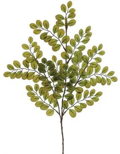 15" Button Leaf Bush GR