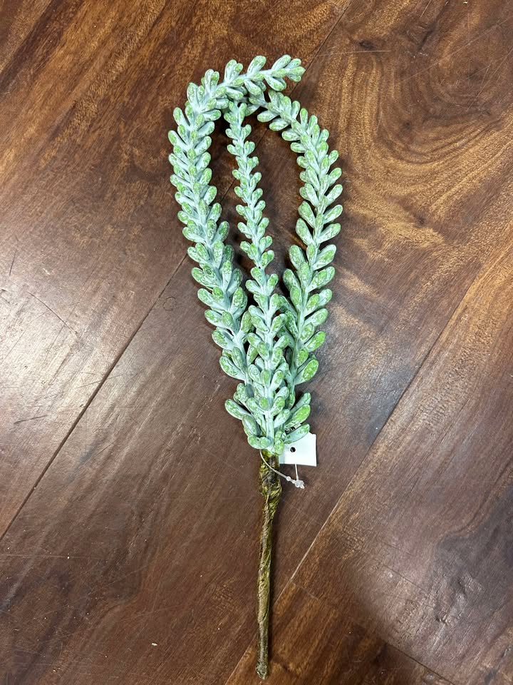 Trailing Succulent Spray