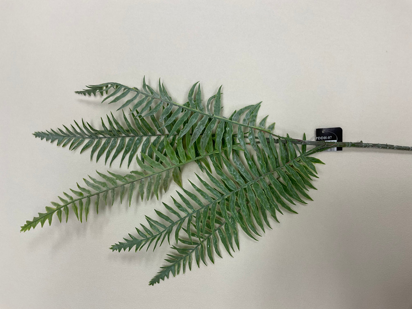 Tall Fern Pick