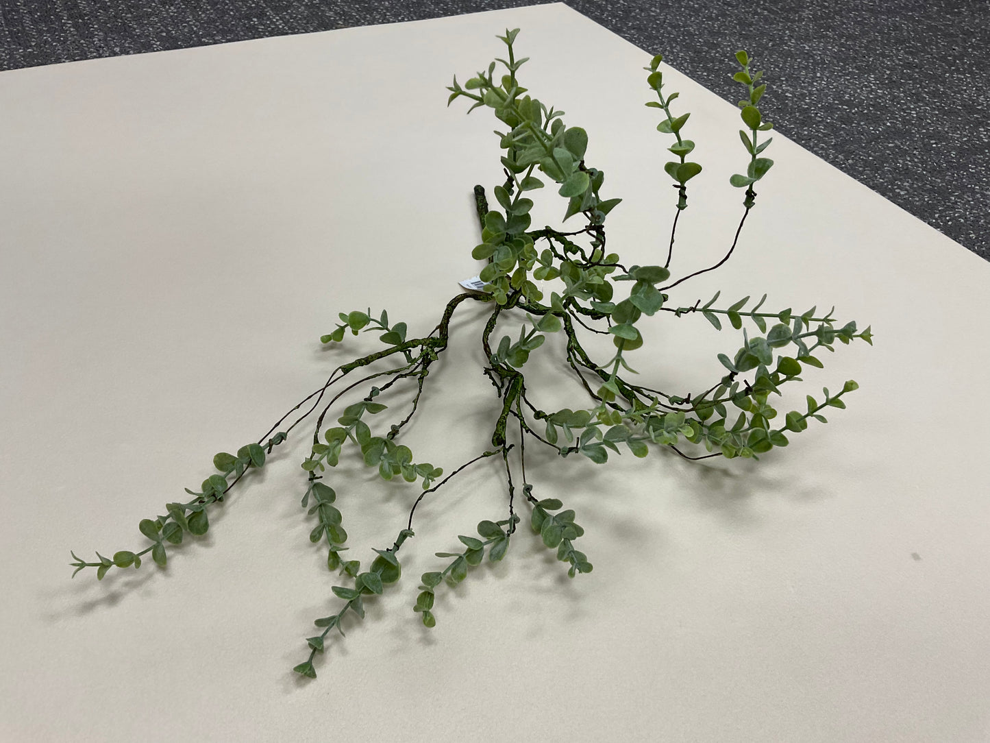 18” Boxwood Light Green