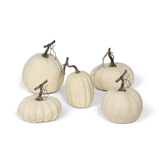 Full Moon Pumpkin Collection