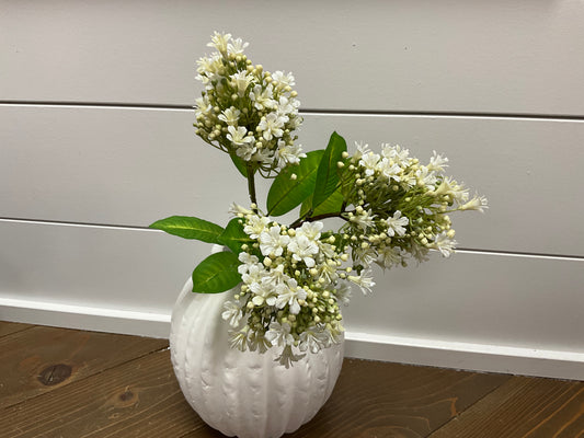 Mini Blossom - White