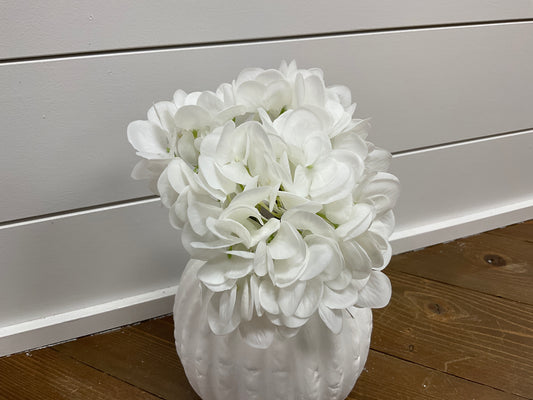 Natural Touch Hydranga Bush