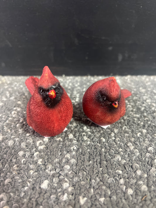 Small Red Cardinal